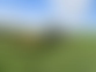 Register for one of three cover crop field days this March!