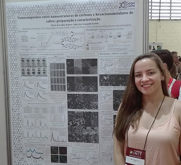 INCT-NanoCarbono 2019.jpg