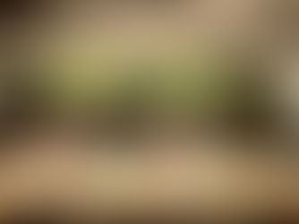 20期 コミットメントミーティング!!