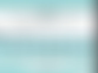 来年度の新卒者向け説明会