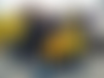 Bergamo: super esordio per i nostri atleti!