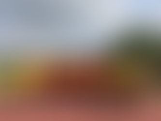 Per l’anno nuovo parti con il piede giusto: fai sport con FreeMoving!