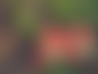 A Natale regala FreeMoving!