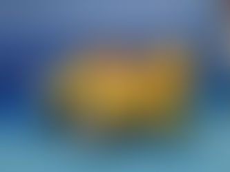 Campionati italiani paralimpici di atletica indoor: ad Ancona FreeMoving conquista dieci medaglie.