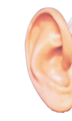 253466.png