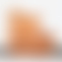 THOR×NANGA×FREAK'S STORE 別注版儲物箱