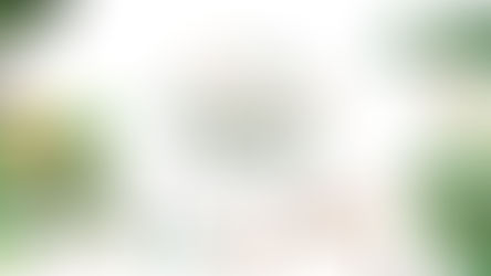 台灣周未舉行「2022桃園草地露營節」