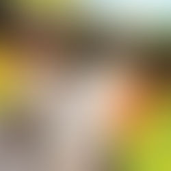 Aminé打做與New Balance首度合作・香蕉610T？