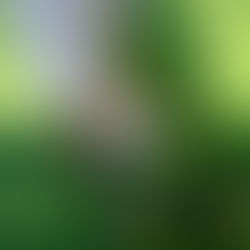 露營尋寶遊戲推介！ 不過唔係藏錢計劃