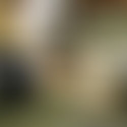 燕三条発！CAPTAIN STAG × CORONA煤油暖爐