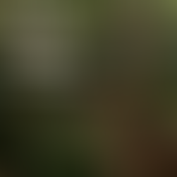 Patagonia全新Rainwear系列! 為雨季帶來分外驚喜!