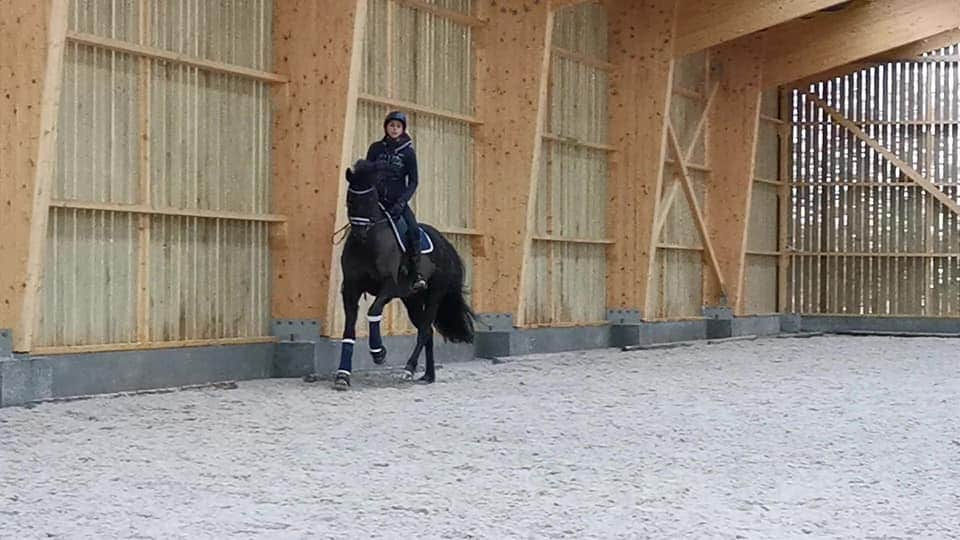 FB_IMG_1595746461628