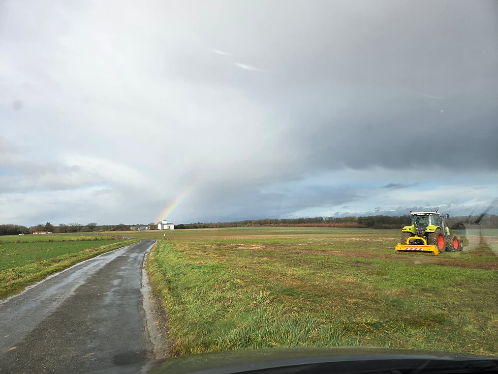 WhatsApp Image 2026-03-09 at 15.23.18.jpeg