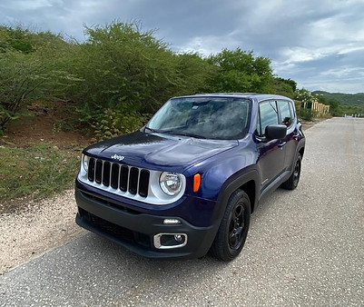 toni-jeep-renegade.jpeg