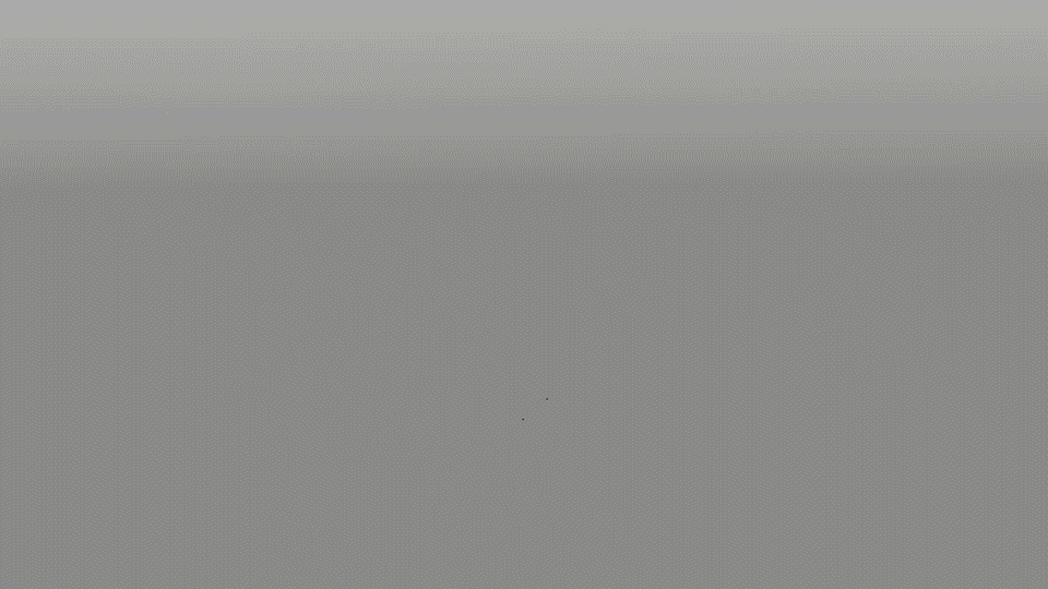 04.gif