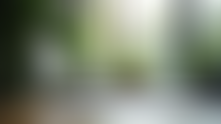 Maximize Your Business with Professional Expertise