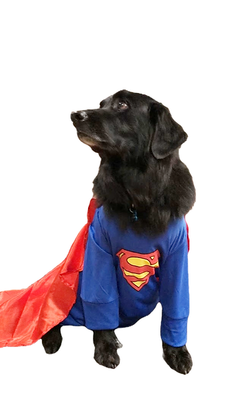 Remove background project (68)_edited.png