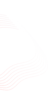 Frame 2095585282 (3).png