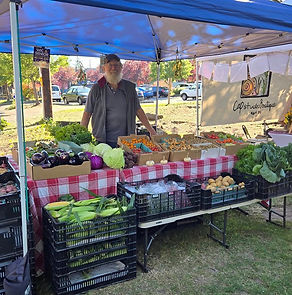 davis at the market.jpg