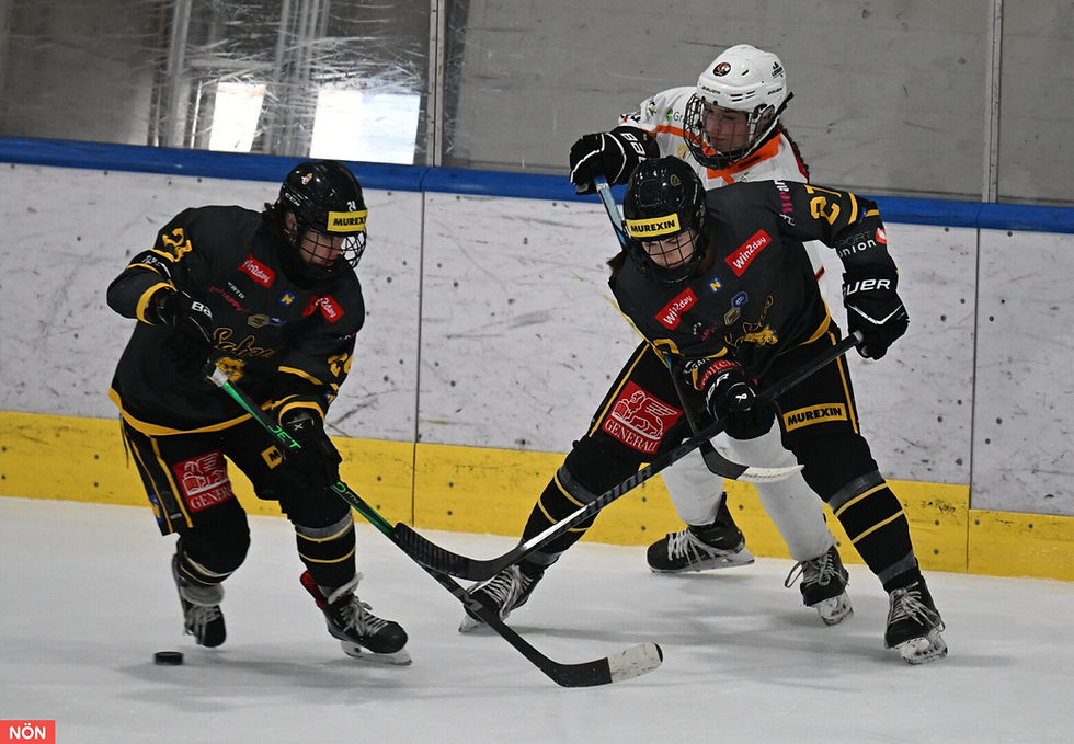 Sabres vs Highlanders