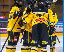 Sabres bleiben weiter Tabellenführer der EWHL