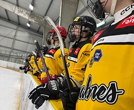 Almaty vs Sabres