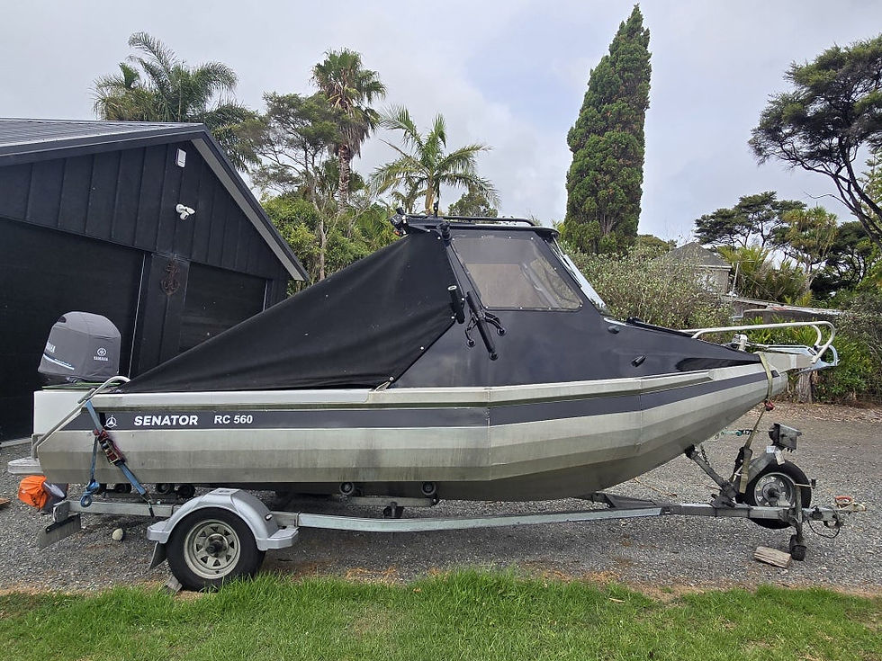 Thumbnail: 560 SENATOR HARDTOP