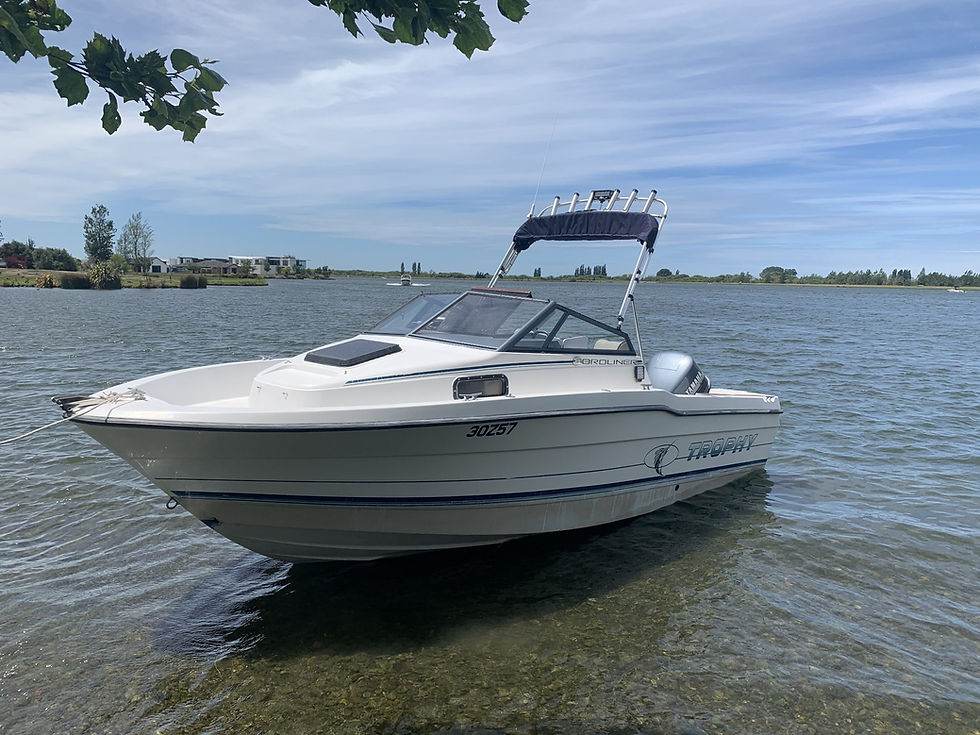 Thumbnail: 1991 Bayliner Trophy