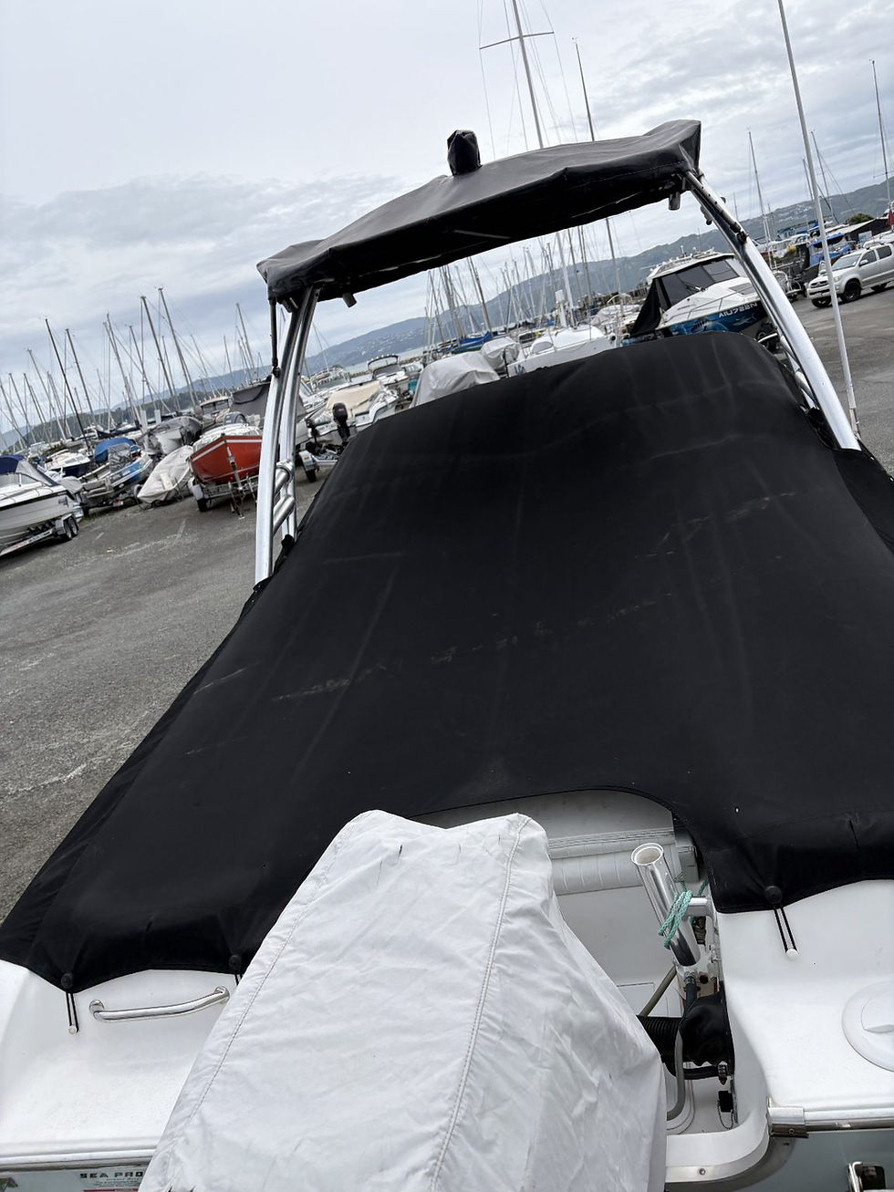 Thumbnail: Sea Pro 206DC