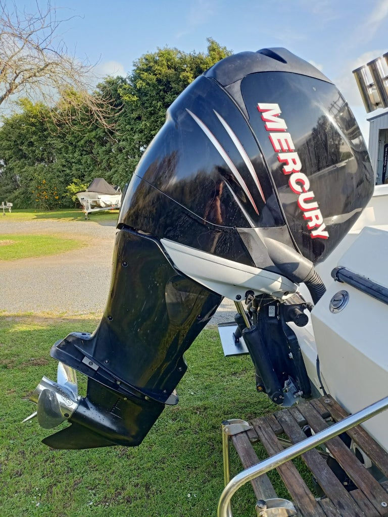 Thumbnail: Bayliner Trophy walkaround