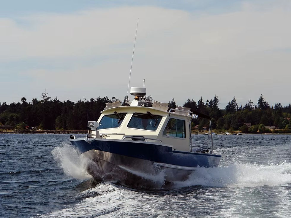 Thumbnail: Brand NEW Durable & Versatile Aluminum Fishing Boat