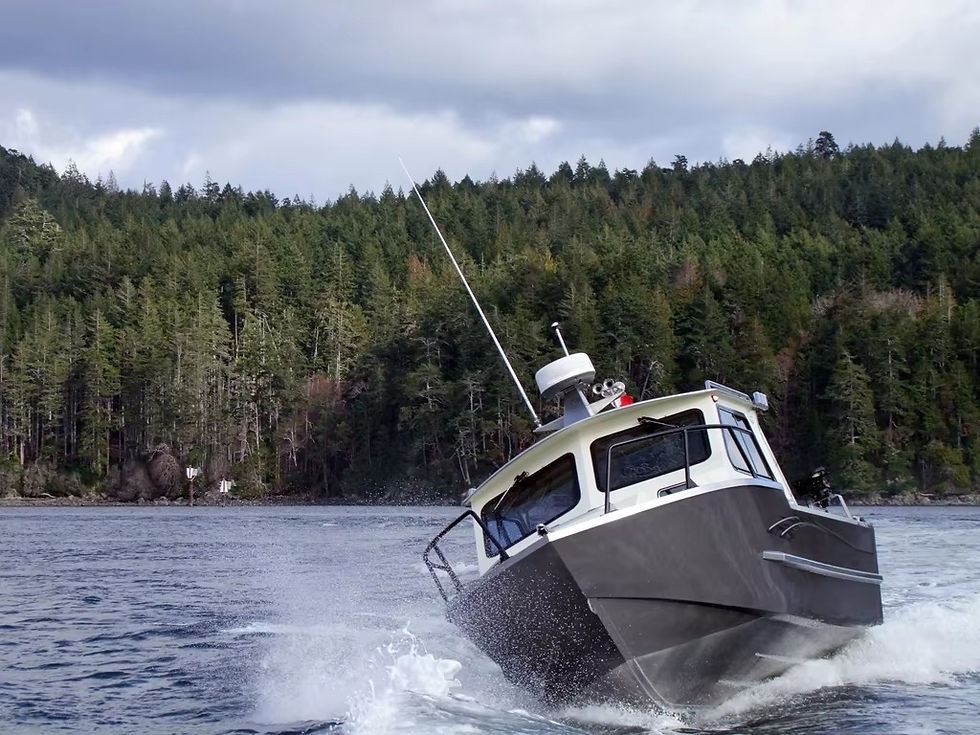 Thumbnail: Brand NEW Durable & Versatile Aluminum Fishing Boat