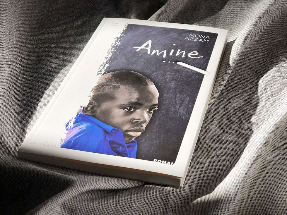 Miniature : AMINE