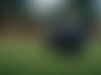 Unlocking the Secrets to Mastering Your Golf Swing: A Professional's Guide