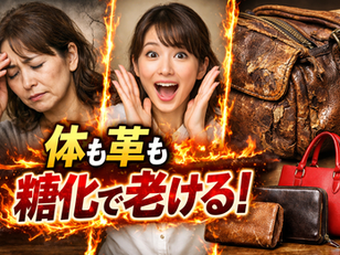 【体も革も 糖化で老ける！】