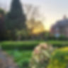Sunset in the rear gardens at Fairfield Court