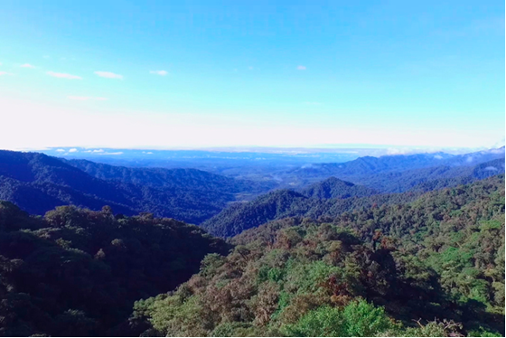 MIRADOR_GUACAMAYOS_1