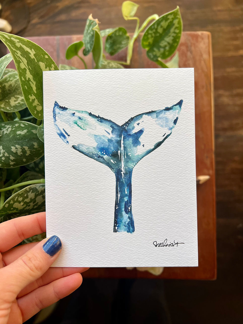 Whale Tail⎜Animal Card
