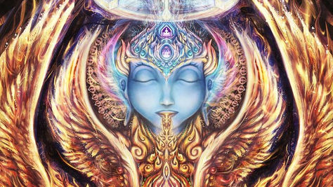 Align With the Force of Knowledge (Gnosis)