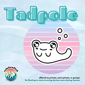 tadpole cover.png