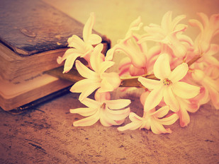The Gospel Centered Woman