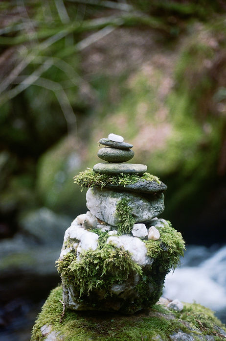 Coping with loss and change