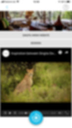 Ayscan App Screenshot 05