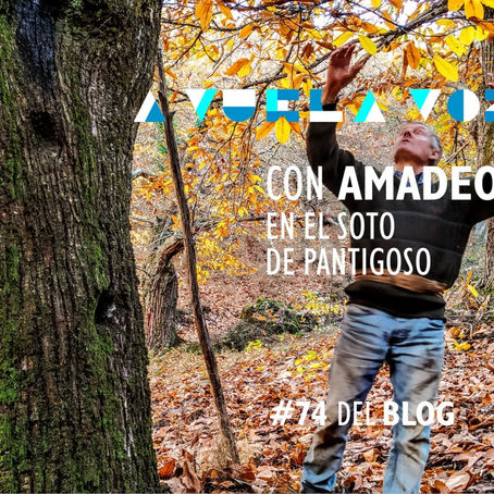 #74 Con Amadeo en Pantigoso