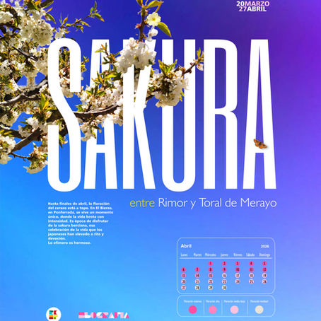 #118 / SAKURA BERCIANA