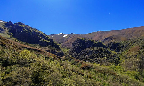 13 RTDP CN-2_edited.jpg