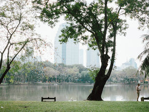 สวนลุมพินี - สวนเบญจกิติ : แจก 8 พิกัดถ่ายรูปฟีลต่างประเทศ เดินเที่ยวได้ในครึ่งวันกลางกรุงเทพฯ