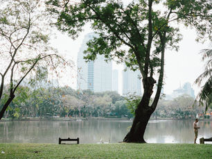 สวนลุมพินี - สวนเบญจกิติ : แจก 8 พิกัดถ่ายรูปฟีลต่างประเทศ เดินเที่ยวได้ในครึ่งวันกลางกรุงเทพฯ