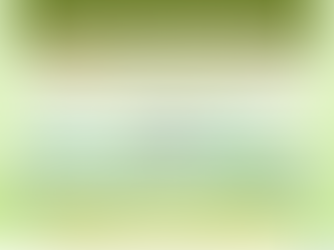 Solar Rooftop ลดหย่อนภาษี 200,000 บาท | คู่มือโซลาร์เซลล์บ้าน ลดค่าไฟและสิทธิประโยชน์ภาษี