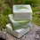 Thumbnail: Lemon Eucalyptus Soap